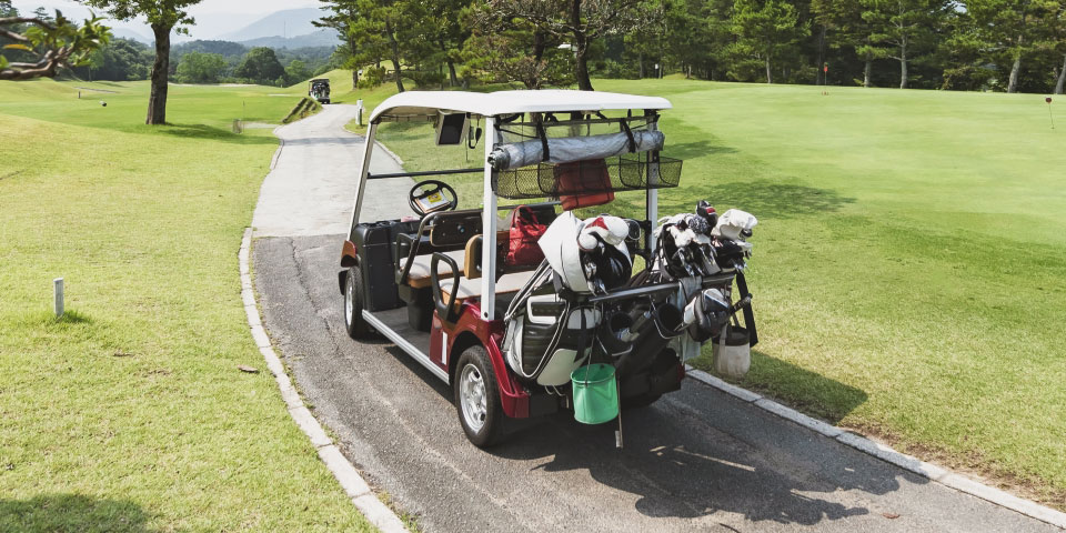 Electric vehicle batteries for golf carts at leisure facilities